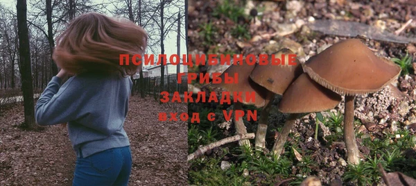 spice Беломорск