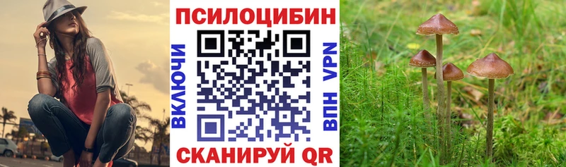Галлюциногенные грибы мухоморы  Калуга 