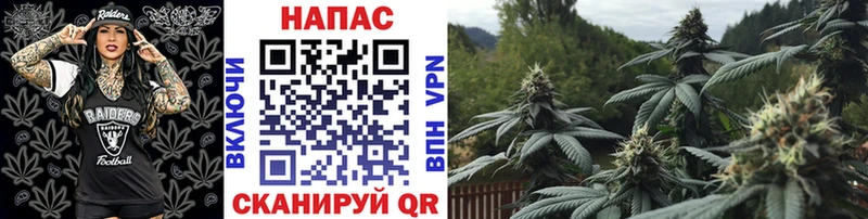 Шишки марихуана семена  мега tor  нарко площадка как зайти  где купить наркоту  Калуга 
